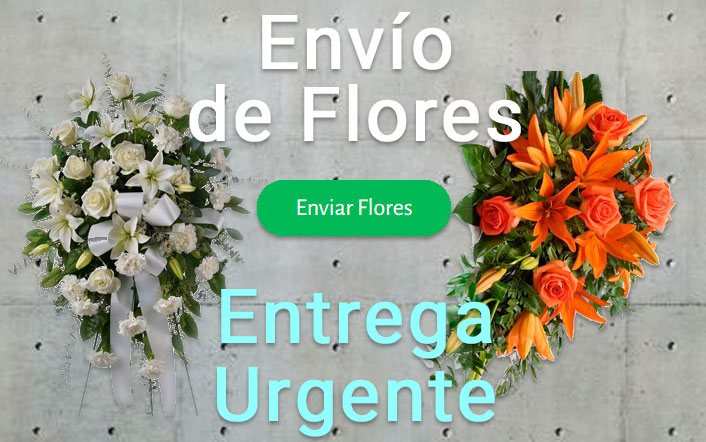 Envío de flores urgente a Tanatorio Sevilla
